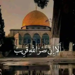مريم احمد ابراهيم