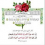 Zeynep Saed Alddin