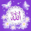 محمد ربيع