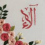 Alaa Mohamed