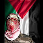 Mostafa Mohamed 