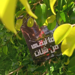 آلاء الخطيب 