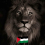 أيمن السيد