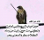 محمد المعلمي المعلمي