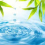 Ummyahya18000gmail.com