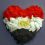 Tarek Alhefnawy