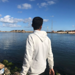 Ibrahim Al-Sayed 