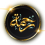 الناشر بالمكتبة هو المؤلف