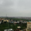 أسد بنو فهر العربي