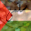 سلمى اسماعيل