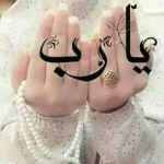 Zeinab Halaby 