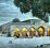 Habibo Elyamany
