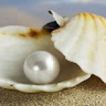 مزنة كمال 