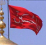 الناشر بالمكتبة هو المؤلف