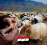 عبيدالله برغوث