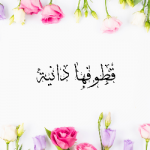 صفا الجاسم 