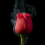 Sabreen