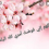 الناشر بالمكتبة هو المؤلف