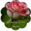 نور.عفاف.عواطف.فوفه tuotyuihl