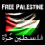 الناشر بالمكتبة هو المؤلف