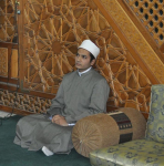 رضا أحمد طه