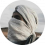 الناشر بالمكتبة هو المؤلف