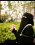 الناشر بالمكتبة هو المؤلف