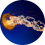 sondos 