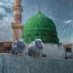 Mariam Hussain 