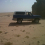 سلطان الودعاني