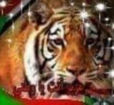 عثمان الناروز 