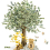 فرناز فرناز