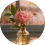 إمرأة.