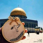 نور القمر 