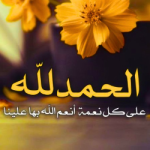 محمد نحمد الله