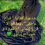 Samah abdo