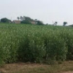 حسن هبه الزبيدي