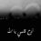 زهرة الإيمان