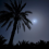عابر سبيل