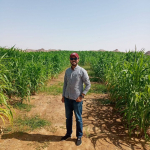 Amer AL Hadeed