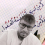 الناشر بالمكتبة هو المؤلف