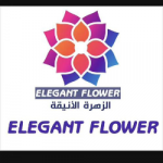 بن غبير للتجارة