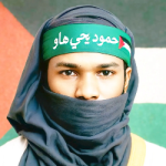 محمود يحي هاو