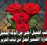 حسام ابراهيم