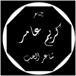 الشاعر كريم عامر
