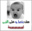 محمدخبيرو سالم