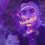 Mohamed Abd El Aleem
