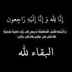 محمود خالد 