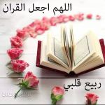 Abu Othman 