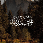 زيد الشلبي 